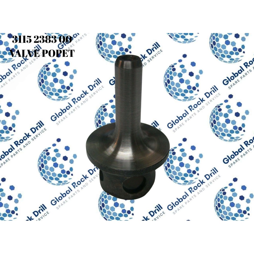 POPET VALVE