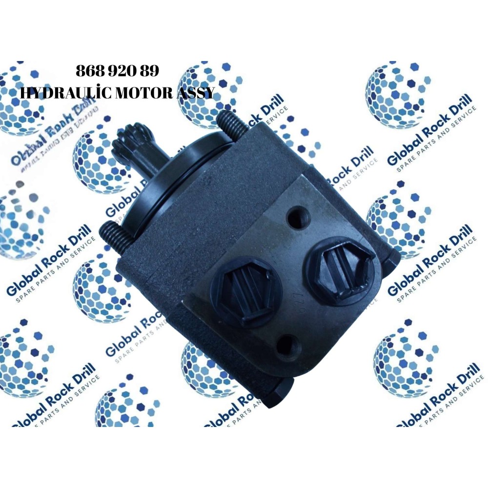 HYDRAULİC MOTOR ASSY  OMSU80